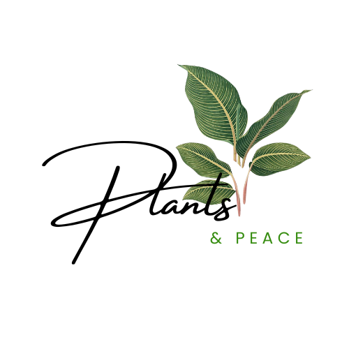 Plants & Peace